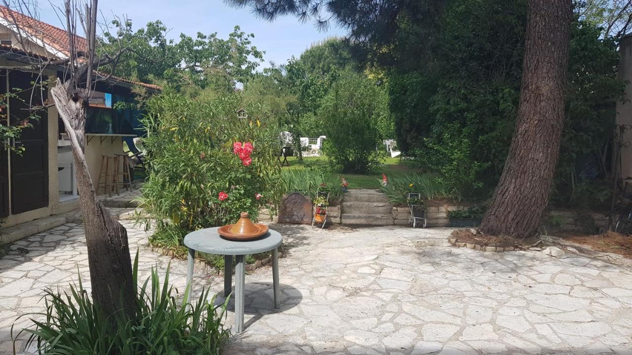Appart Independant, 1 Lit Deux Personnes Et 1 Appoint Piscine Jardin Direct Gare Aeroport Et Jardin Toulouse Bagian luar foto
