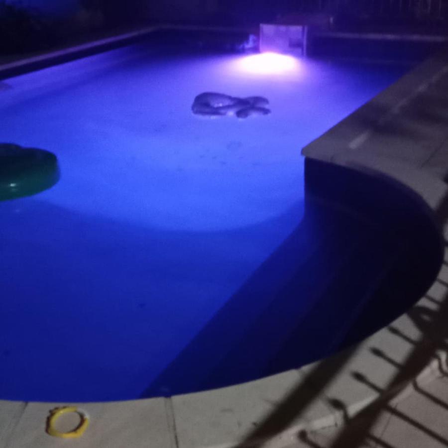 Appart Independant, 1 Lit Deux Personnes Et 1 Appoint Piscine Jardin Direct Gare Aeroport Et Jardin Toulouse Bagian luar foto